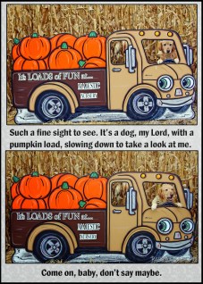 raising a super dog www.donnasword.com