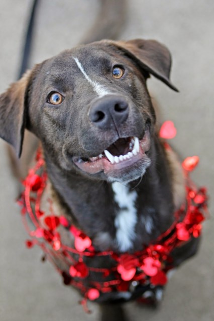 recovering from loss