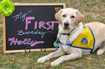 CCI Watch Holly Grow www.donnasword.com