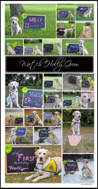 Watch Holly Grow donnasword.com