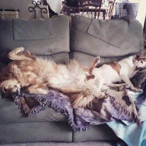 summer begins in 123