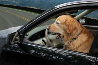 Micron driving