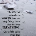 The lives of animals are woven
