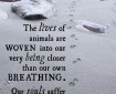 The lives of animals are woven