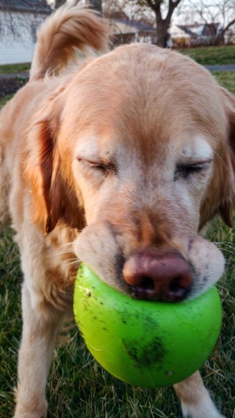 IMG_20160307_180627070-1