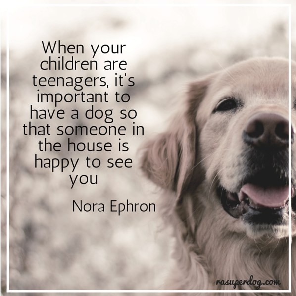 its imprtant to have a dog