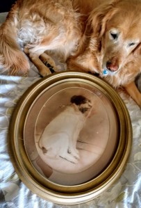 1917 Portrait of a Sword Dog