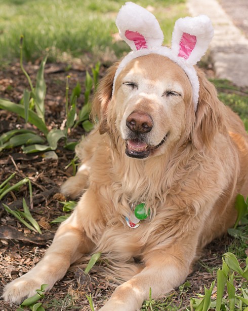 Mighty Micron gets hoppelganged